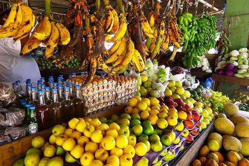 A Season's Feast is All Natural In Belize