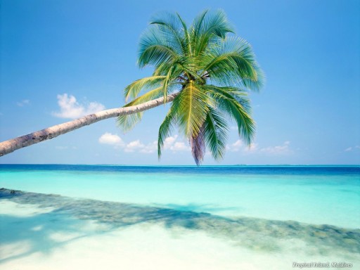 Increase of Real Estate Value in Belize thanks to DiCaprio
